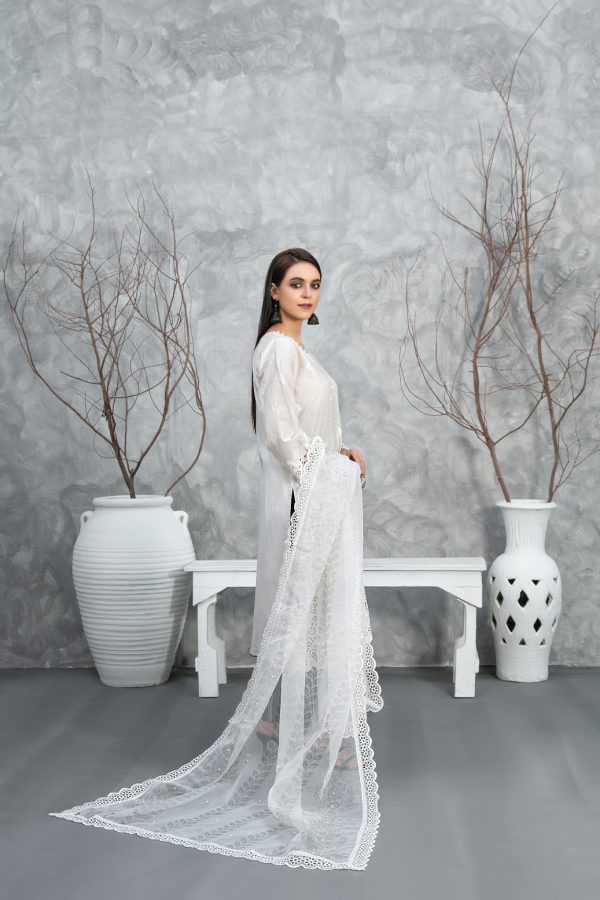 Rayleah By Tawakkal Premium Lawn Collection