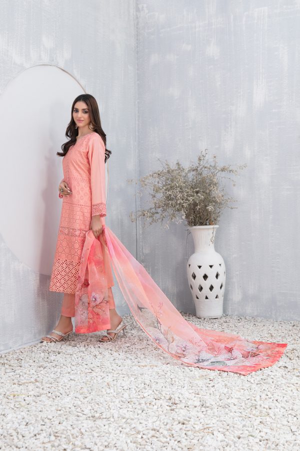Payal By Tawakkal Premium Lawn Collection