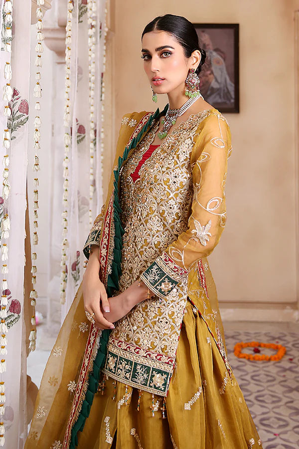 Lemilsa By Maryam's Chiffon Embroidered Collection