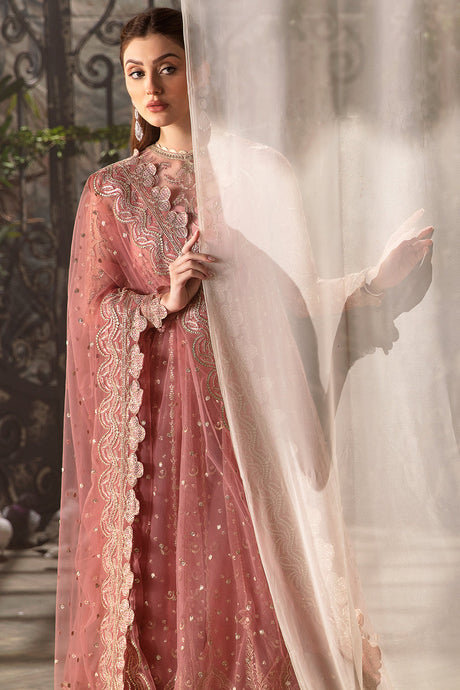 Afroze-La Fuchsia Luxury  Collection