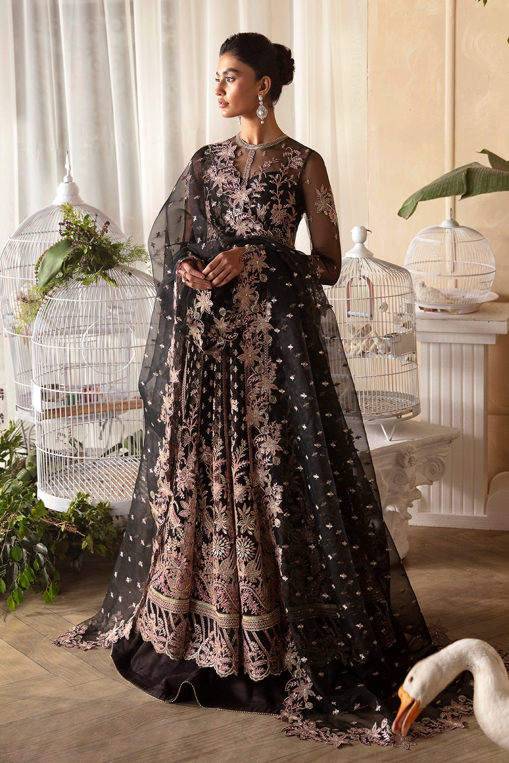Afroze-La Fuchsia Luxury  Collection