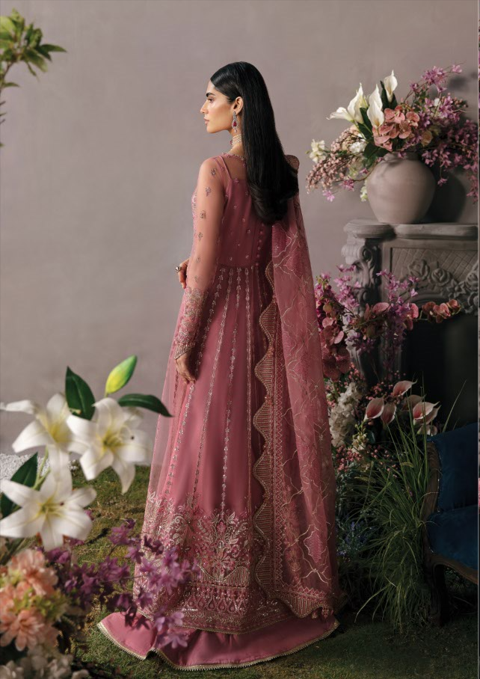Afroze-La Fuchsia Luxury Chiffon Collection