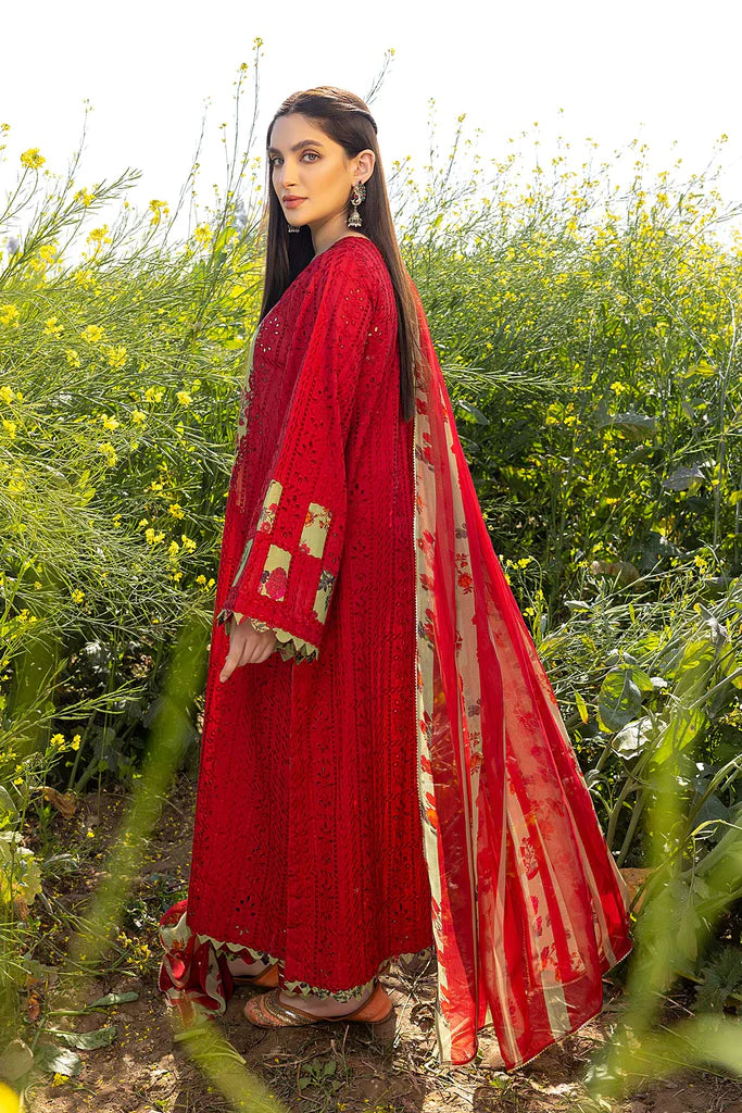 Lawn Chikankari Collection By Charizma