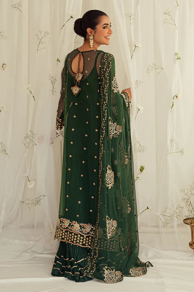 Cross Stitch Chiffon Embroidered Collection