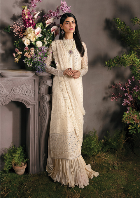 Afroze-La Fuchsia Luxury Chiffon Collection
