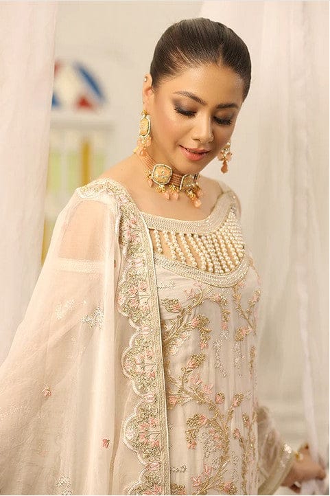 Maryam's Premium Luxury Chiffon Collection