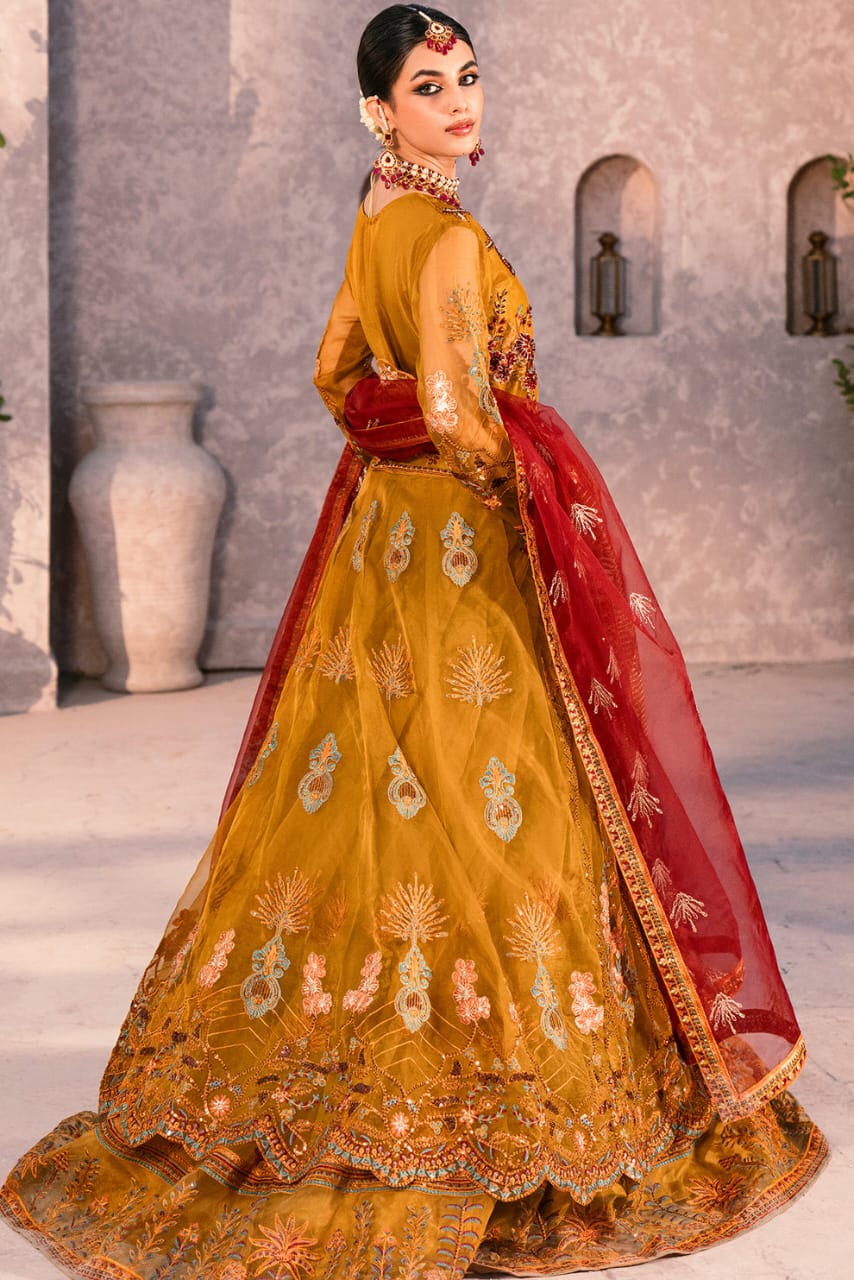 Zircon By Zebtan Premium Collection