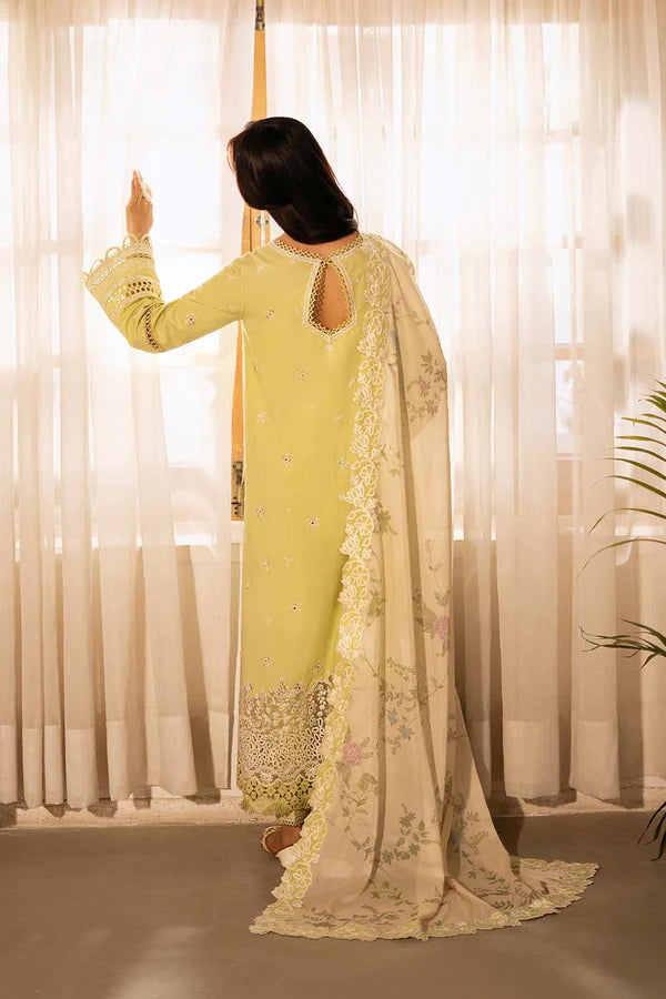 Sajni By Zarposh Luxury Collection