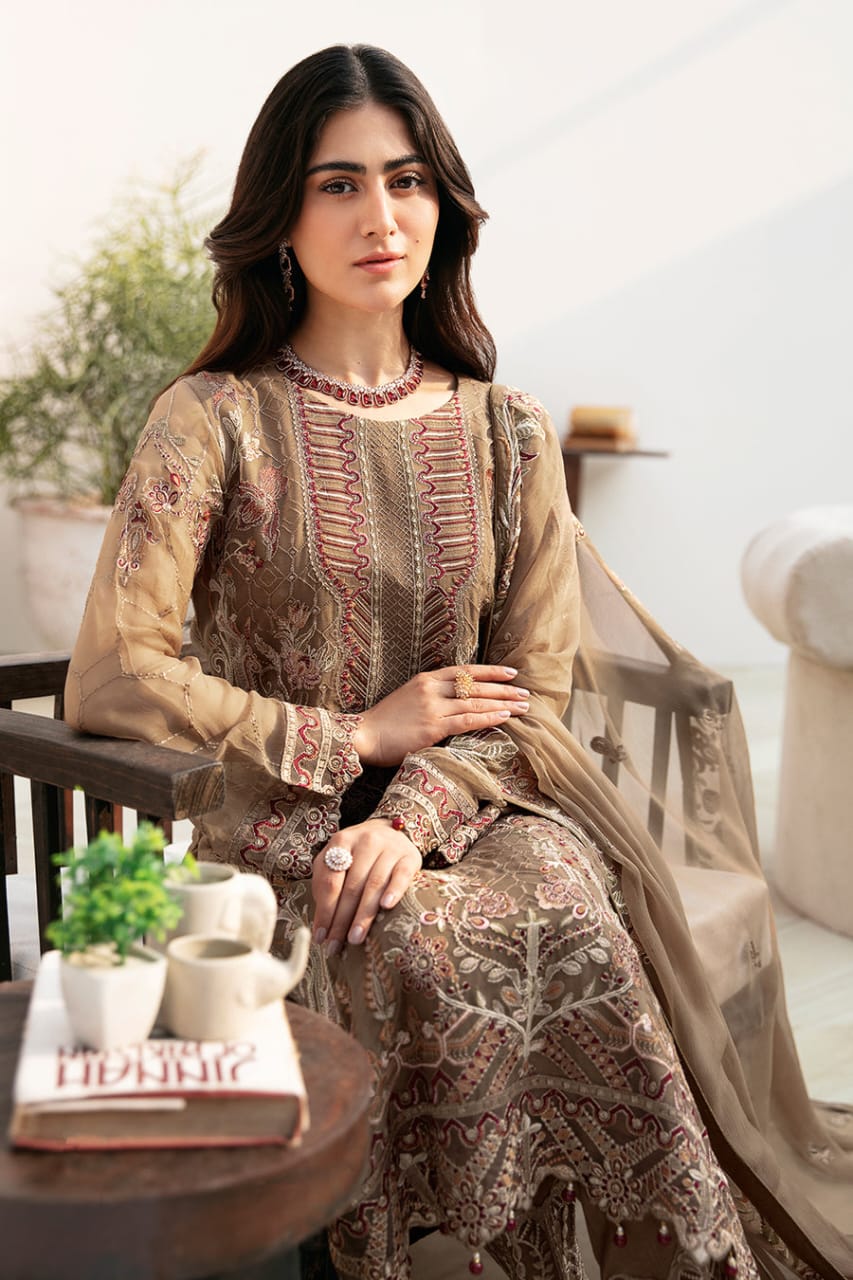 Chevron By Ramsha Chiffon Collection