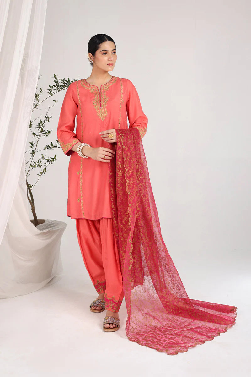 Hues of Red Zareen By Generation