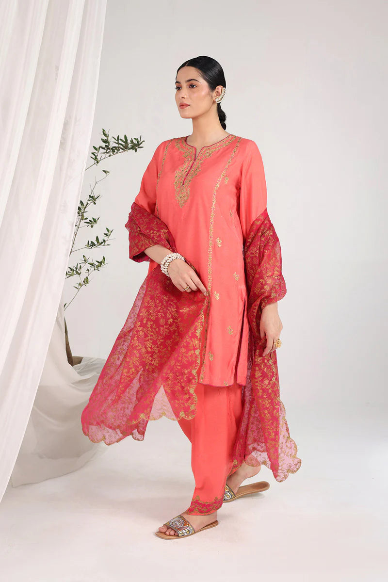 Hues of Red Zareen By Generation