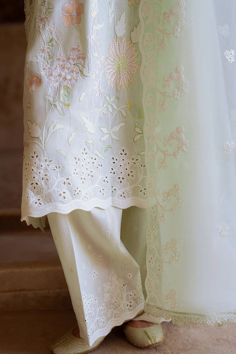 CrossStitch Embroidered Collection