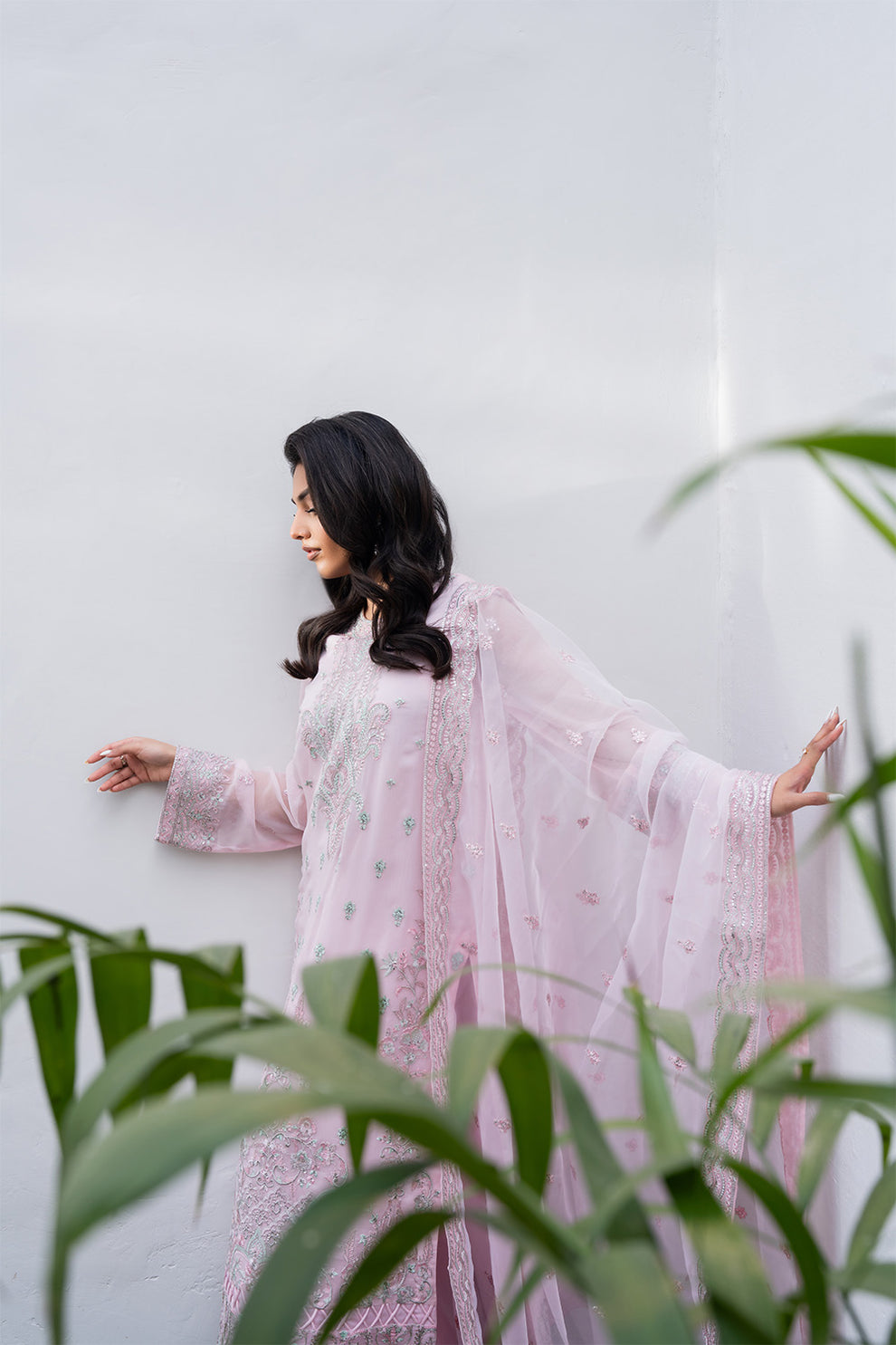 Tarz by Freesia Luxury Collection