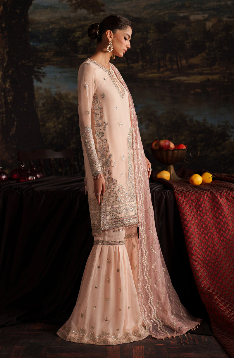 Zarif Premium Chiffon Collection