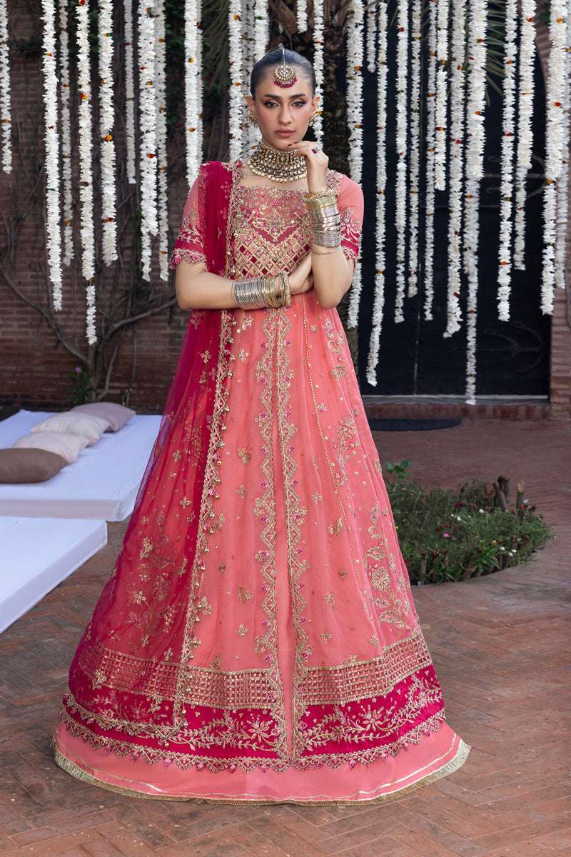 Rang Rasiya Wedding Formal Collection