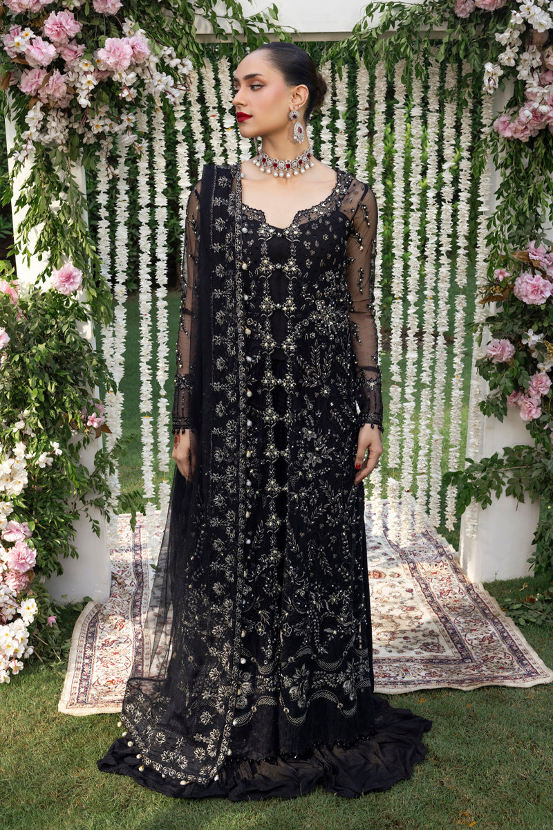 Rang Rasiya Wedding Formal Collection