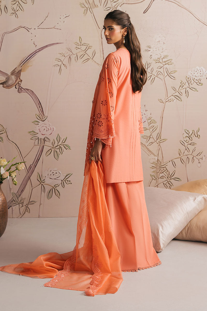 CrossStitch Embroidered Collection