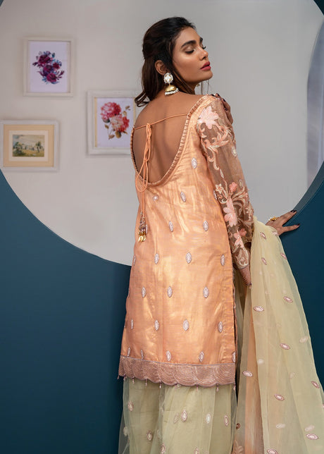 Akbar Aslam Nigaar Collection`19-100% Original Guaranteed