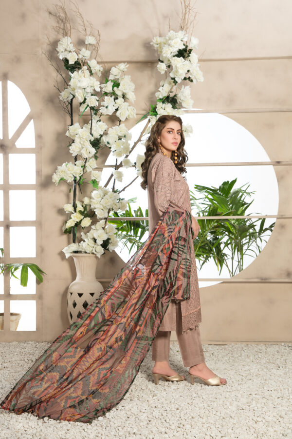 Noor Saba by Tawakkal 100% Original Ready To Ship