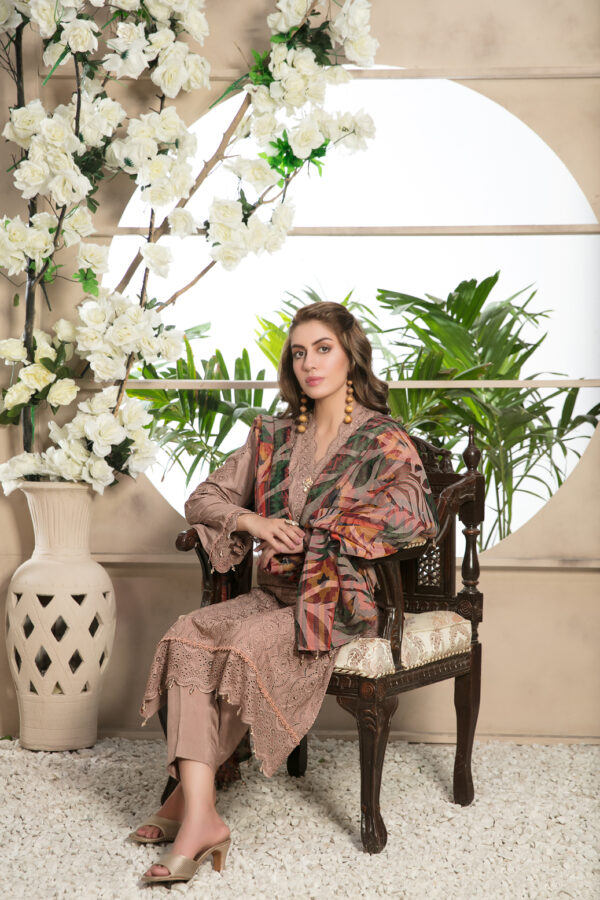 Noor Saba by Tawakkal 100% Original Ready To Ship