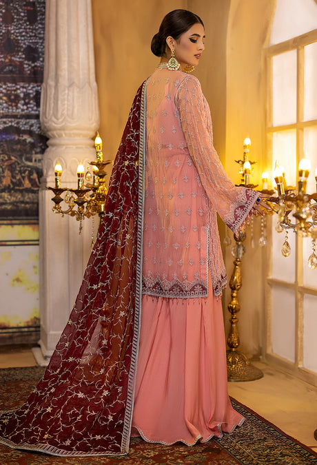 Adan's Libas Ravia Schiffli Embroidered Chiffon Collection