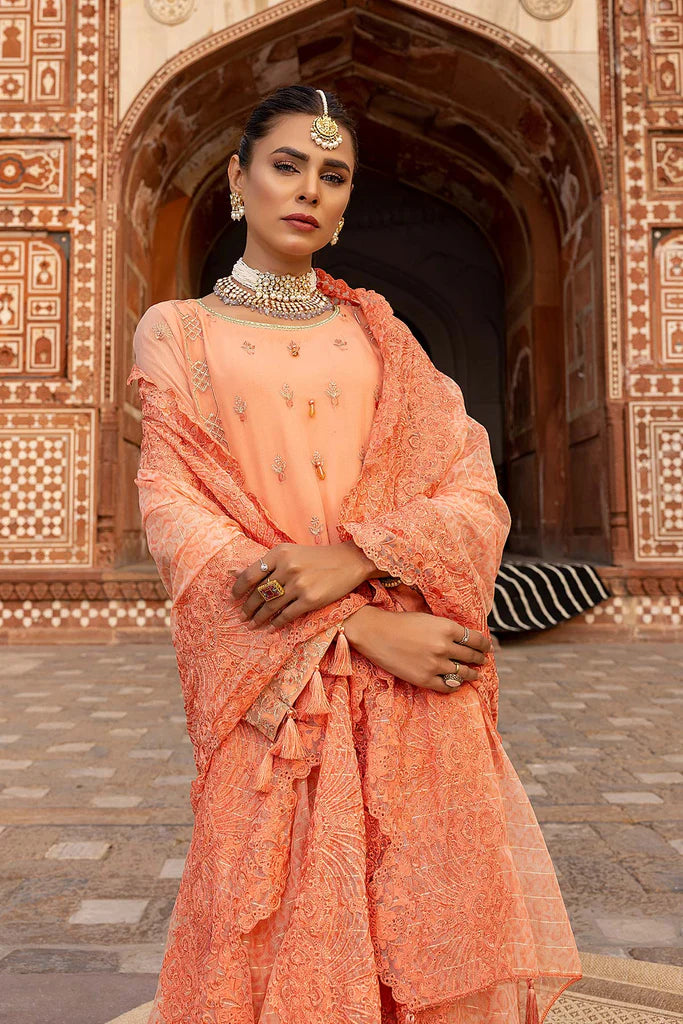 Allure Chiffon Embroidered Collection