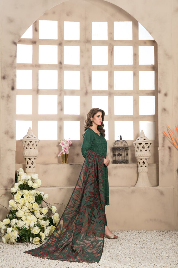 Noor Saba by Tawakkal 100% Original Ready To Ship