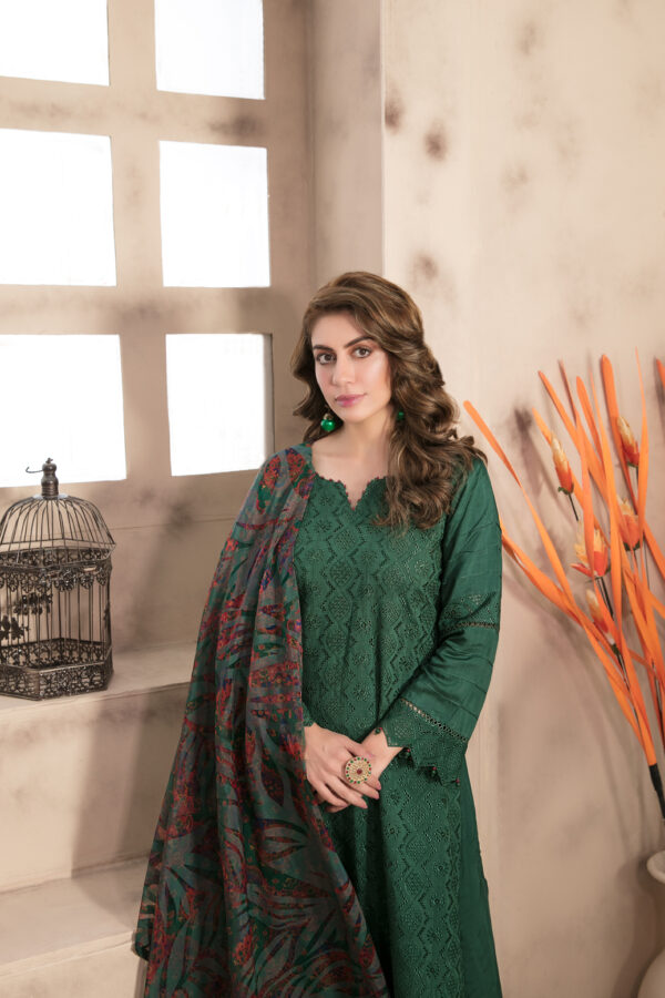 Noor Saba by Tawakkal 100% Original Ready To Ship