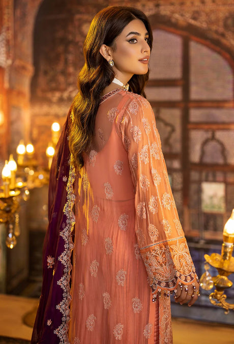 Adan's Libas Ravia Schiffli Embroidered Chiffon Collection