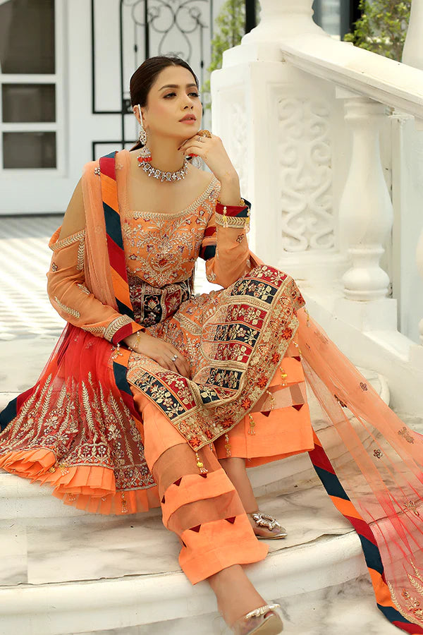 Maryam's Chiffon Embroidered Collection