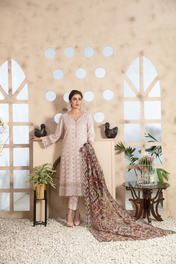 Noor Saba by Tawakkal 100% Original Ready To Ship