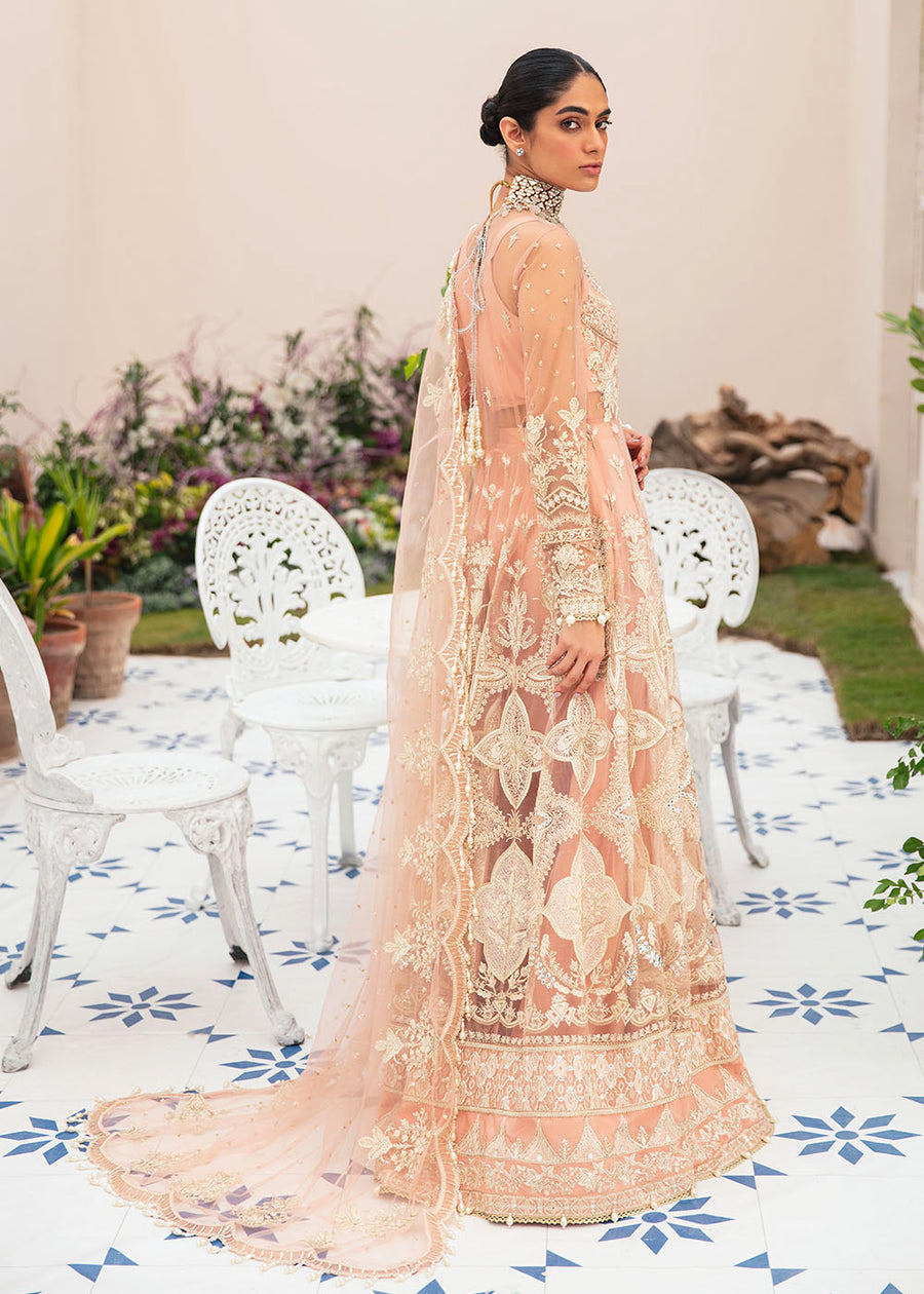 Afroze-La Fuchsia  LUXURY CHIFFON COLLECTION  100% Original