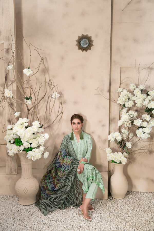 Noor Saba by Tawakkal 100% Original Ready To Ship