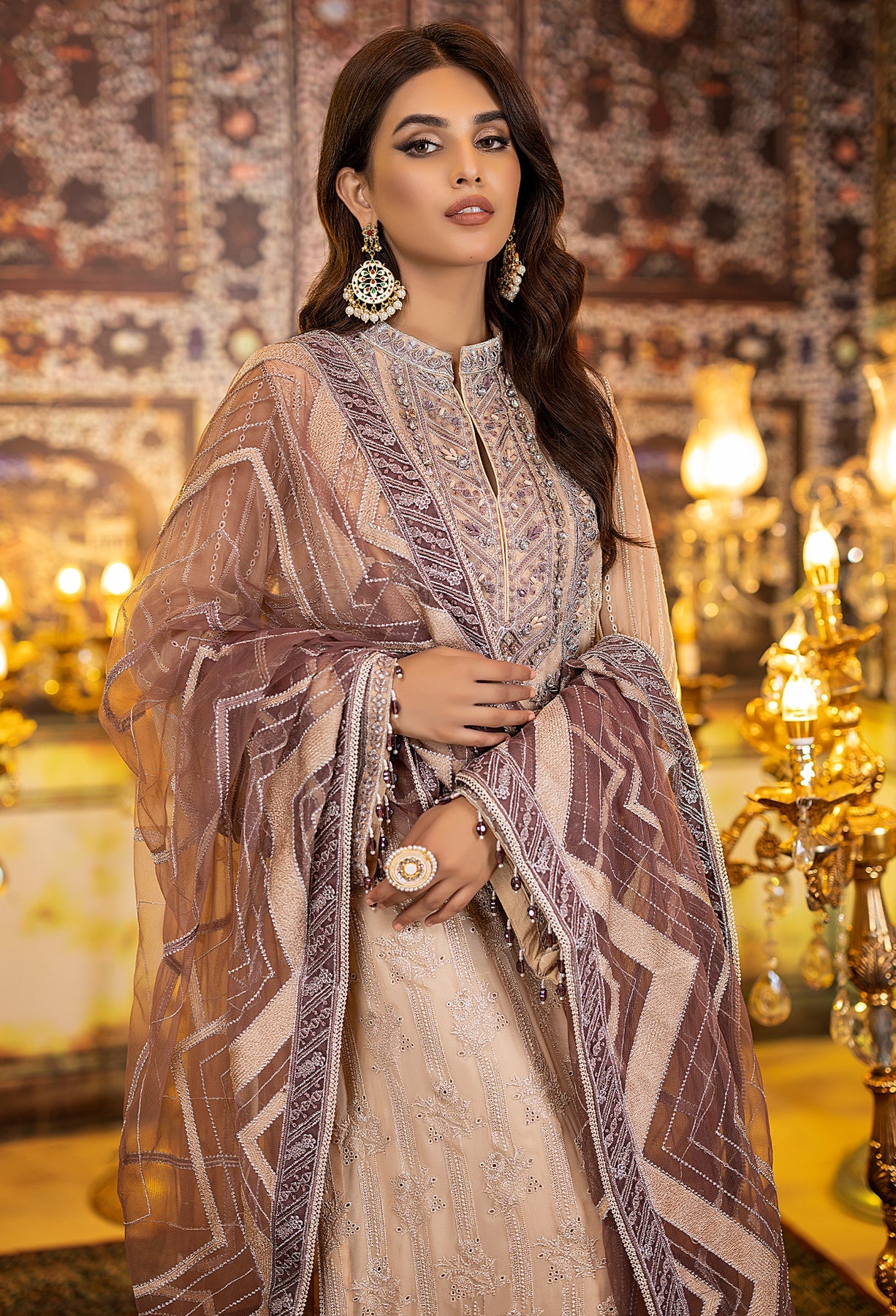 Adan's Libas Ravia Schiffli Embroidered Chiffon Collection