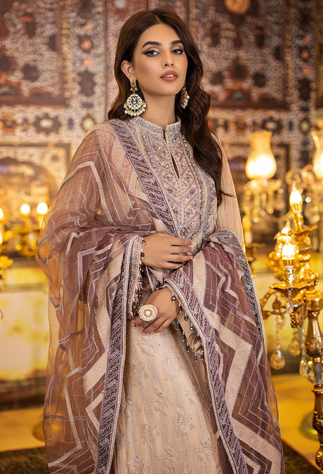 Adan's Libas Ravia Schiffli Embroidered Chiffon Collection