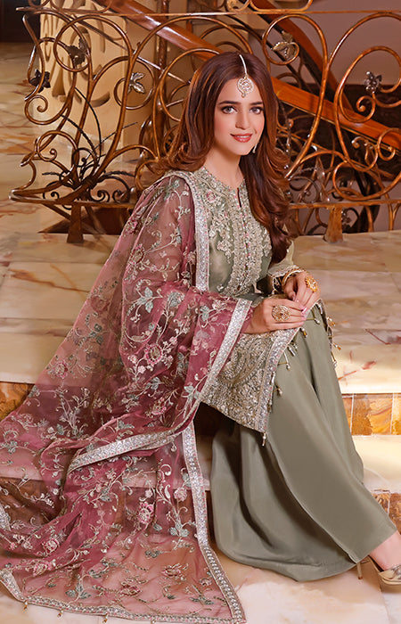 New Fancy Chiffon Collection 2022