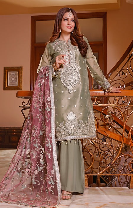 New Fancy Chiffon Collection 2022