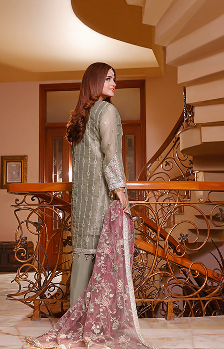 New Fancy Chiffon Collection 2022