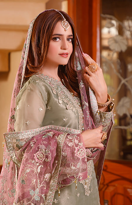 New Fancy Chiffon Collection 2022