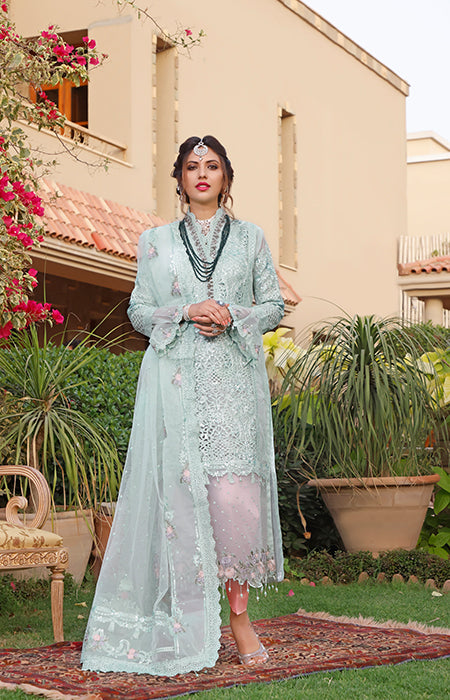 New Fancy Chiffon Collection 2022