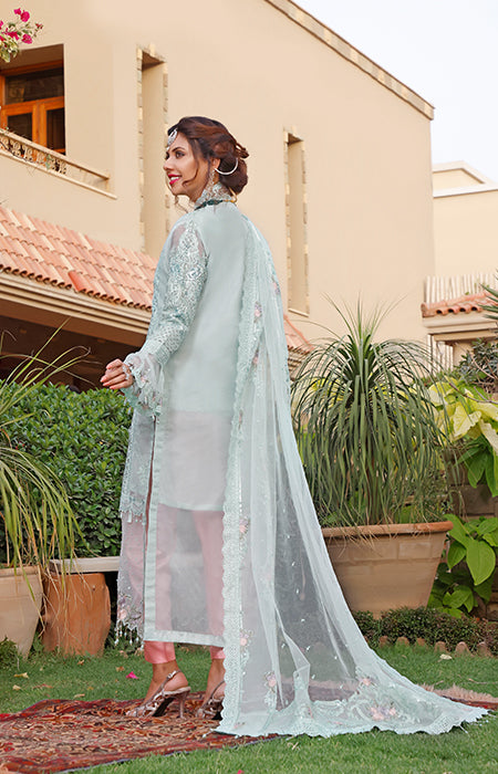 New Fancy Chiffon Collection 2022