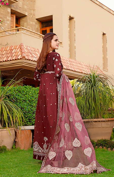 New Fancy Collection 2023