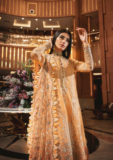 AIK Embroidered Chiffon Collection-100% Original Guaranteed