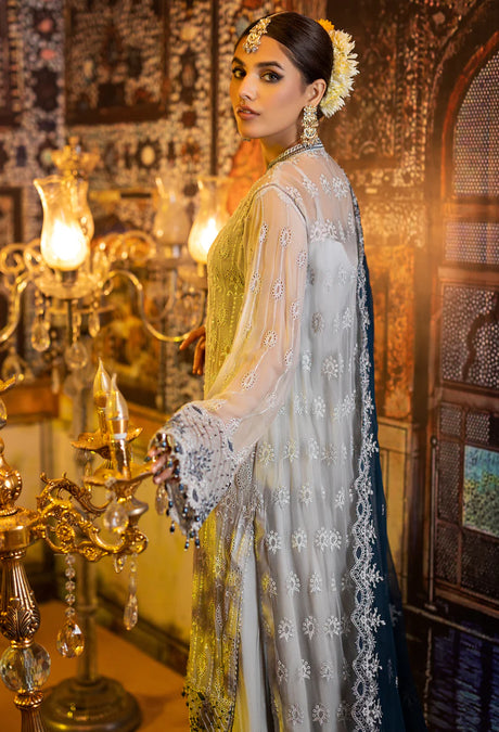 Adan's Libas Ravia Schiffli Embroidered Chiffon Collection