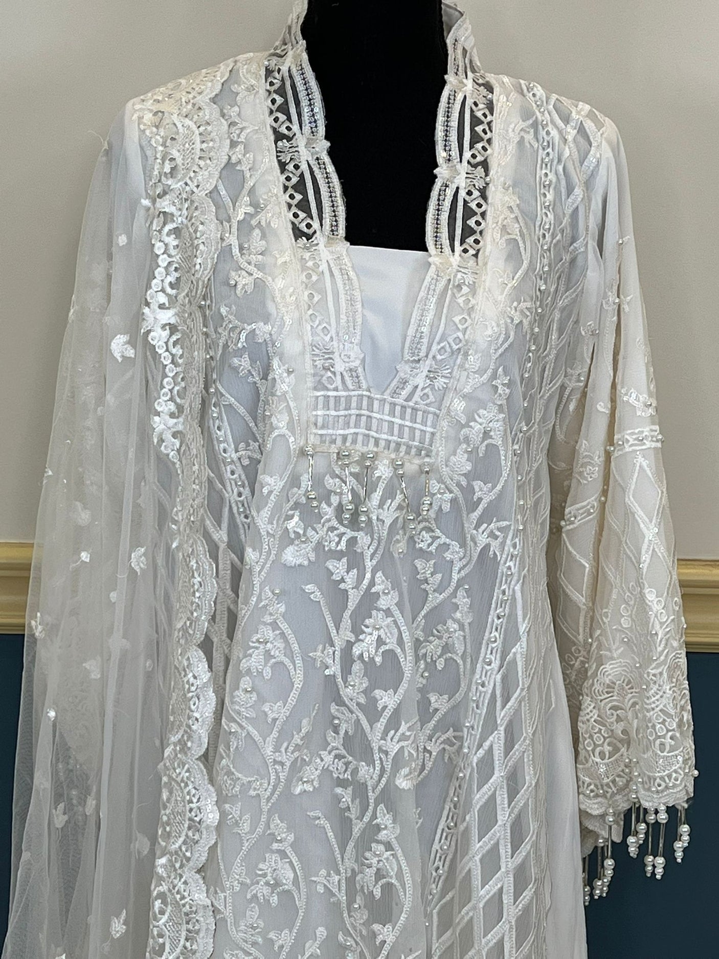 Pakistani Embroidered Party wear Ready To Ship