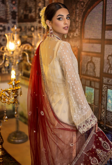 Adan's Libas Ravia Schiffli Embroidered Chiffon Collection