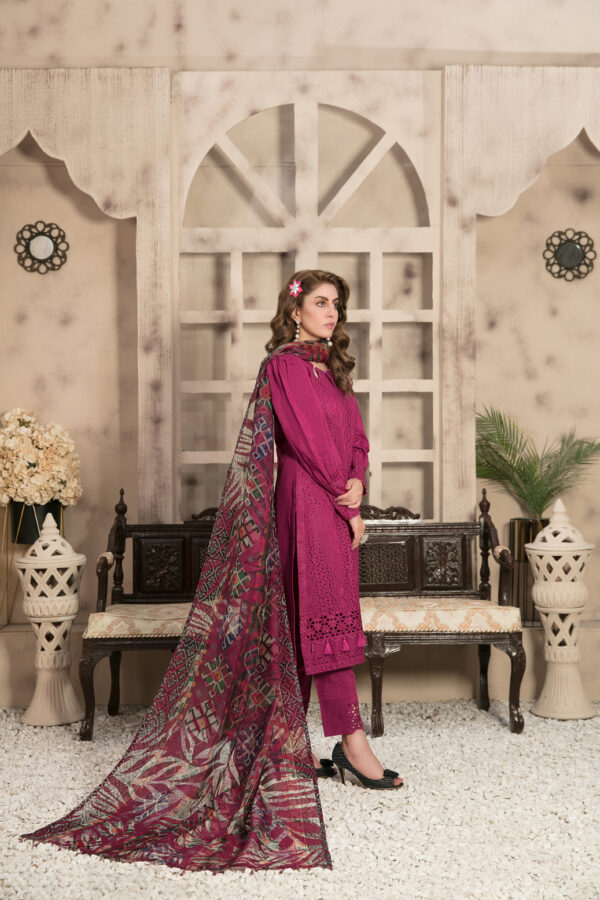 Noor Saba by Tawakkal 100% Original Ready To Ship