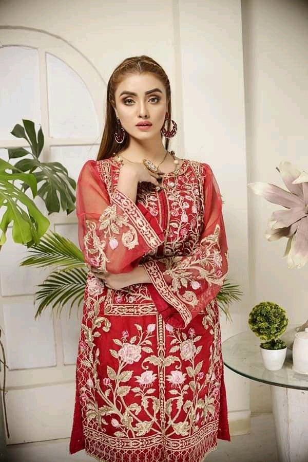 Adan's libas organza kurti 2020-100% Original Guaranteed