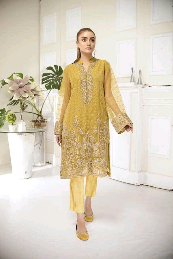 Adan's libas organza kurti 2020-100% Original Guaranteed