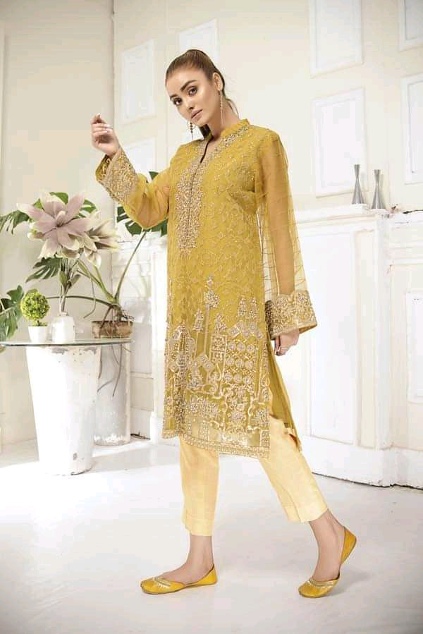 Adan's libas organza kurti 2020-100% Original Guaranteed